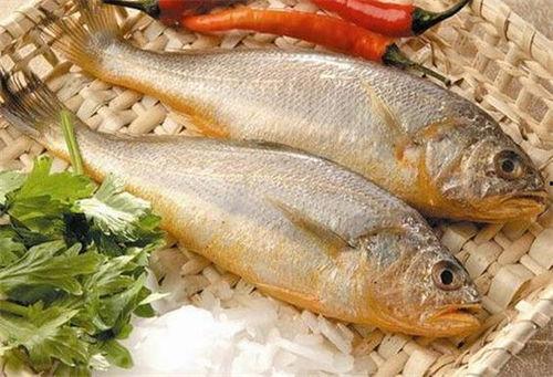 小黄鱼爆料新闻报道视频,揭秘新闻报道背后的真相 第1张 小黄鱼爆料新闻报道视频,揭秘新闻报道背后的真相 第1张