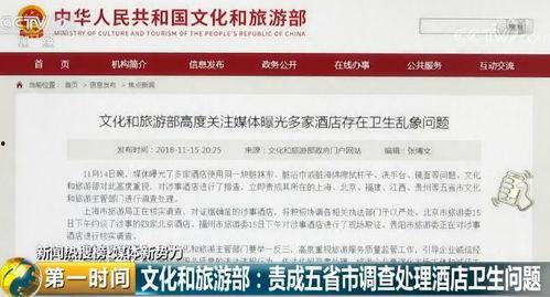 爆料奇特视频大全播放网站,揭秘网络奇观,畅游视觉盛宴 第1张 爆料奇特视频大全播放网站,揭秘网络奇观,畅游视觉盛宴 第1张